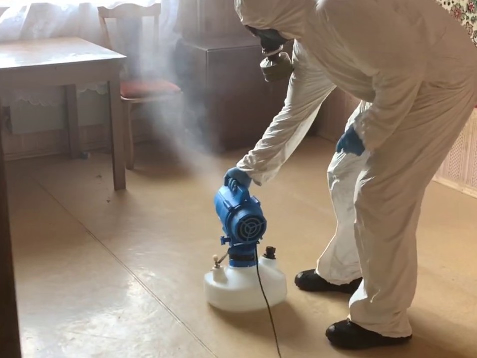 Уничтожение тараканов в квартире в Сарове